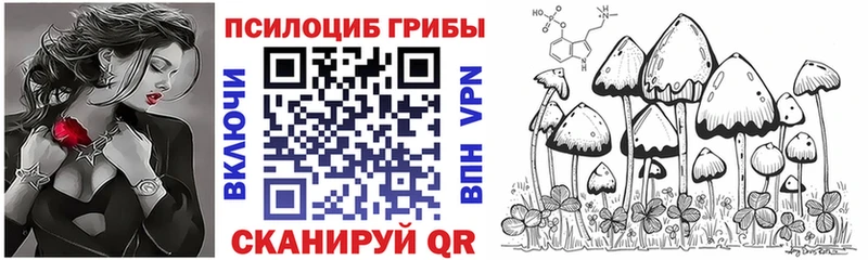Псилоцибиновые грибы Cubensis  магазин продажи   Гаджиево 