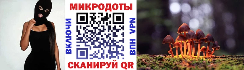 Галлюциногенные грибы Magic Shrooms Гаджиево