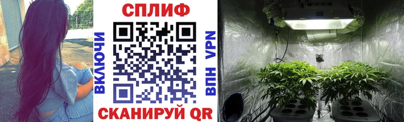 OMG как войти  где найти   Гаджиево  darknet какой сайт  Конопля сатива 
